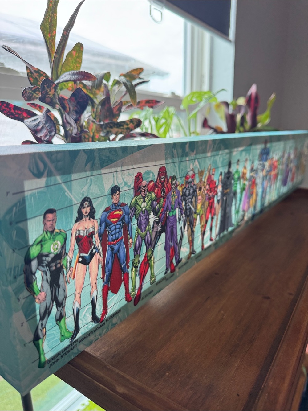 DC Superhero Gallery Wall Art Panel in Multicolor